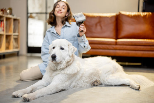 The Ultimate Guide to Pet Grooming at Home