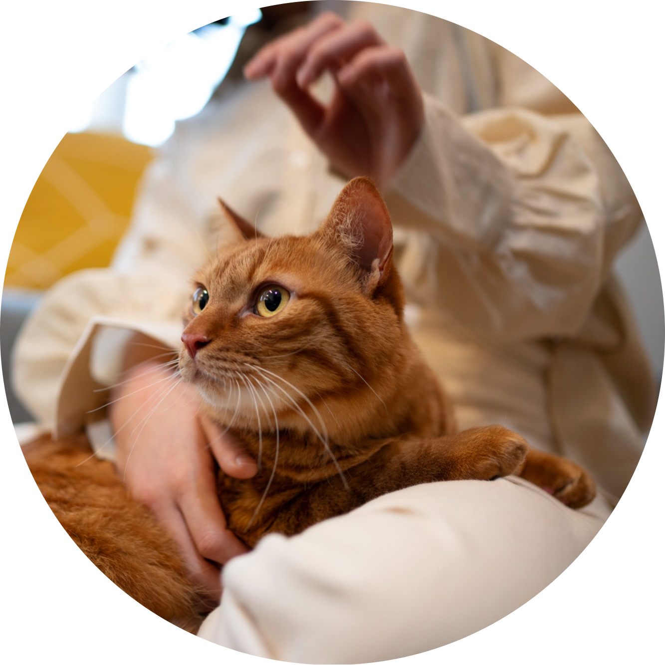 Grooming & Care