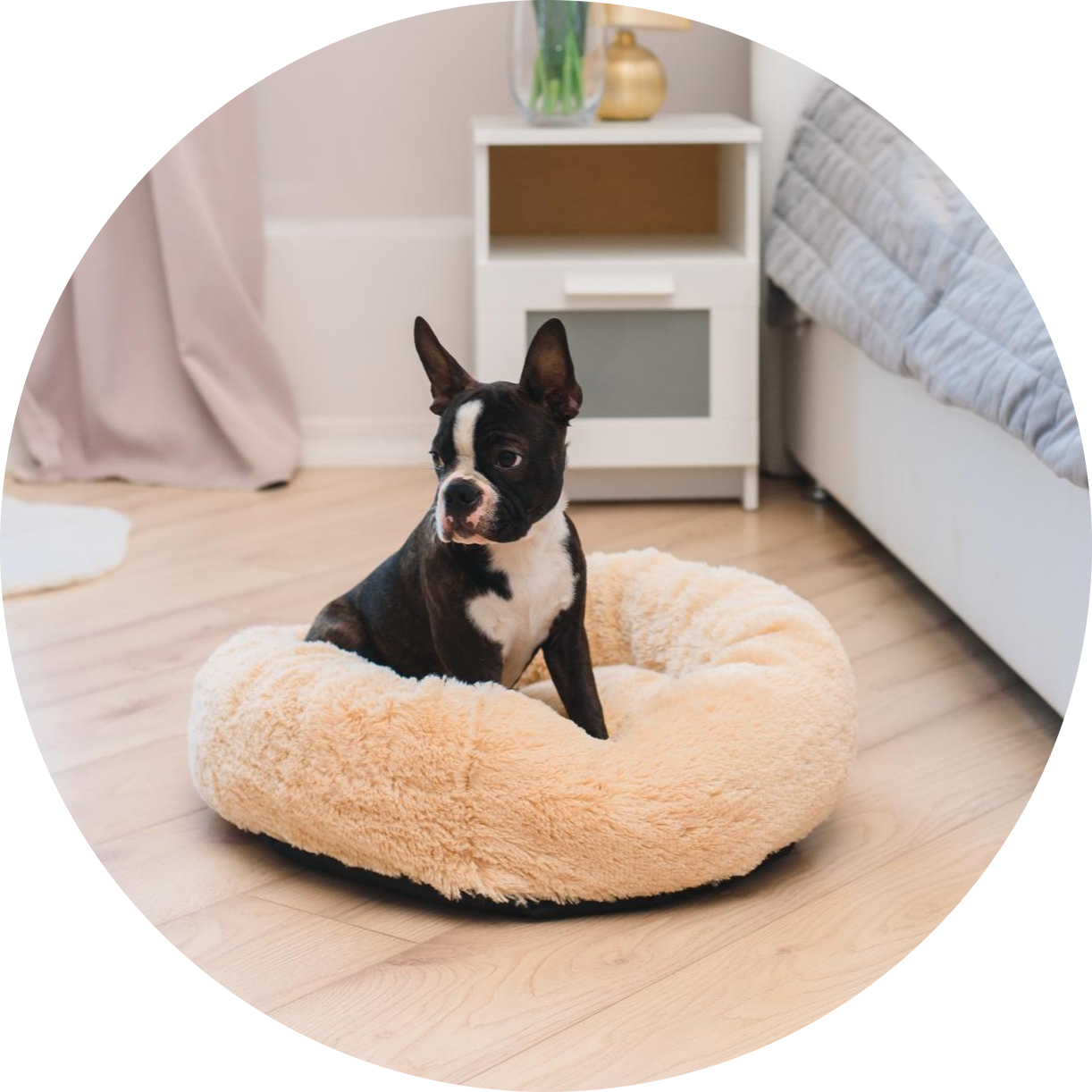 Beds & Mats