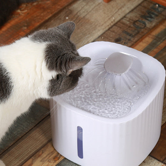 Automatic Drinking Fountain ™