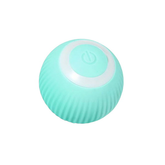 Interactive Smart Ball