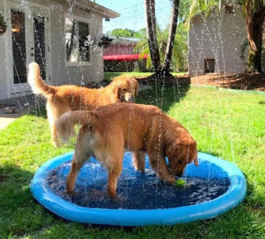 Splash Sprinkler Pad