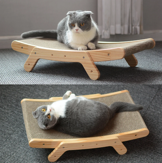 Cat Scratch Bed